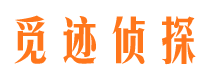 宁夏调查事务所